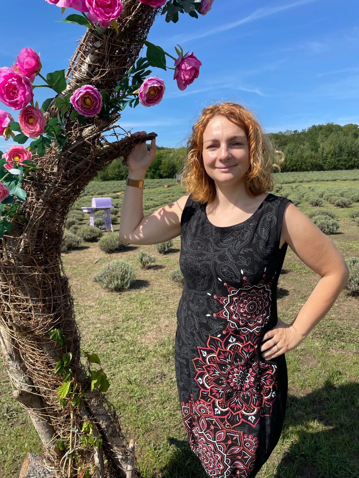 Pomáhám lidem a firmám zorientovat se v digitálním světě a naučím Vás používat umělou inteligenci, vylepšit profil na LinkedInu a psát texty, které fungují.